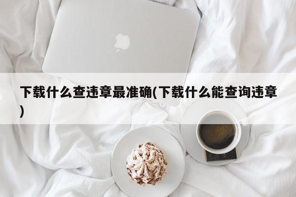 下载什么查违章最准确(下载什么能查询违章)