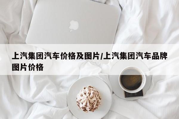上汽集团汽车价格及图片/上汽集团汽车品牌图片价格